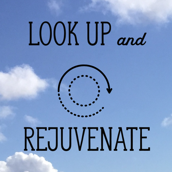 00 Look Up