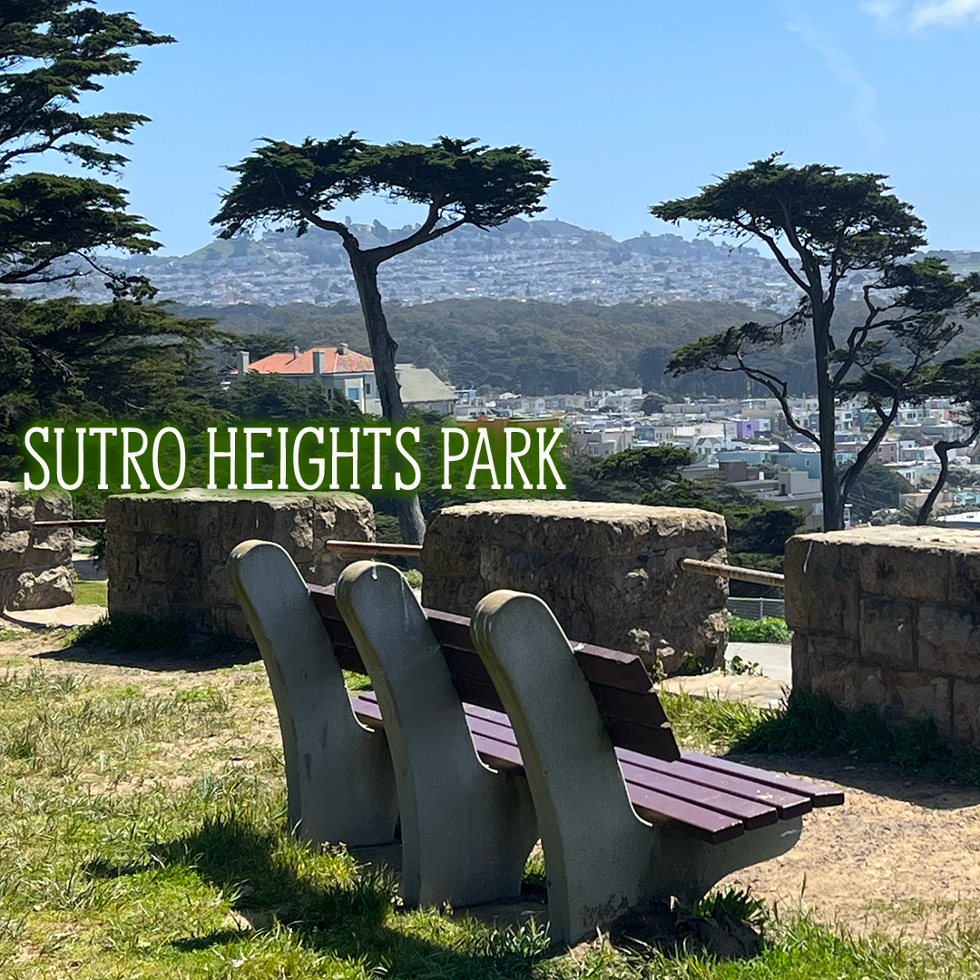 Sutro Park Bench